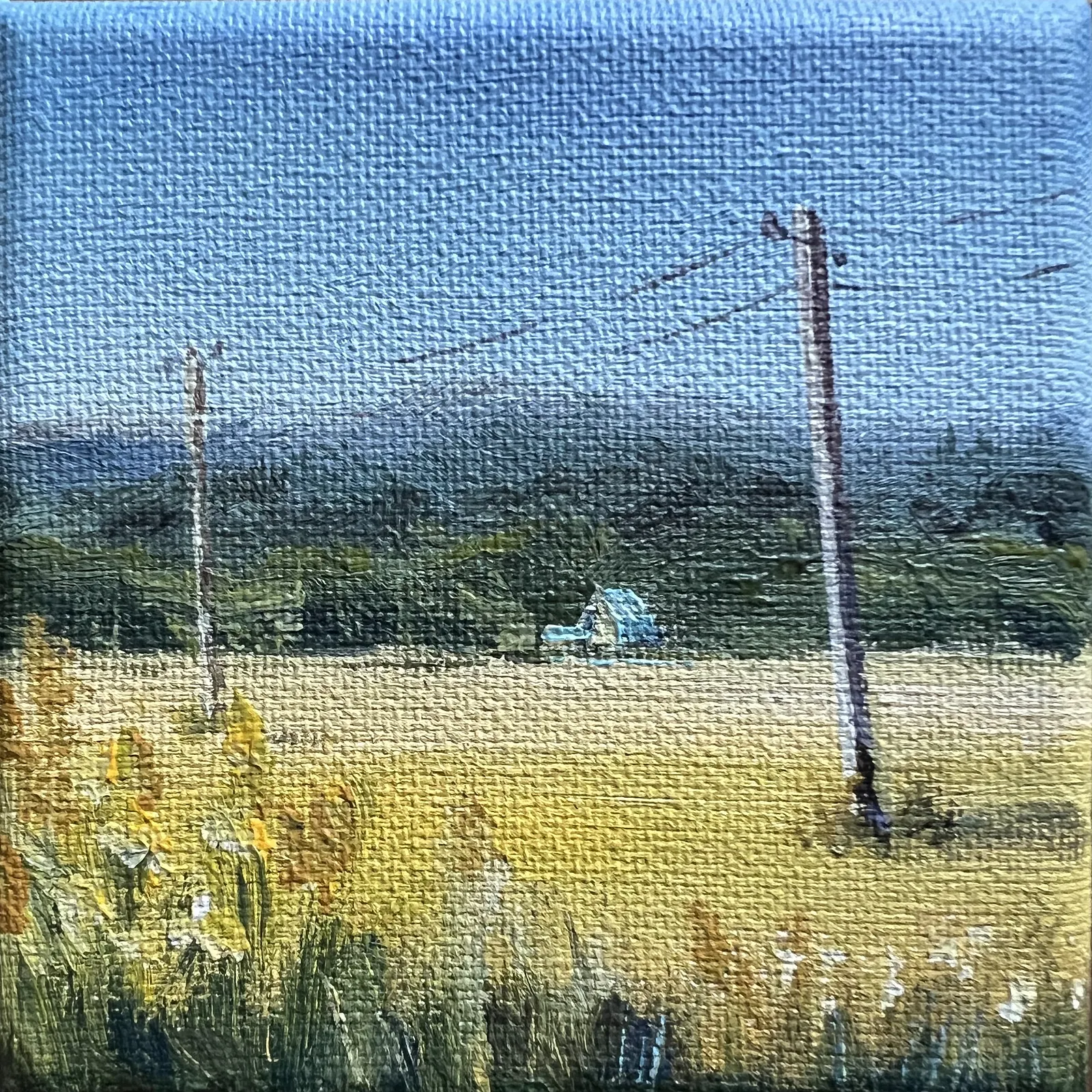 Obraz Słupy w żółtym polu autorstwa Elena Goyeva, rozmiar: 10x10 cm, wykonany z Akryl, Płótno, medium Malarstwo, część serii Miniatury